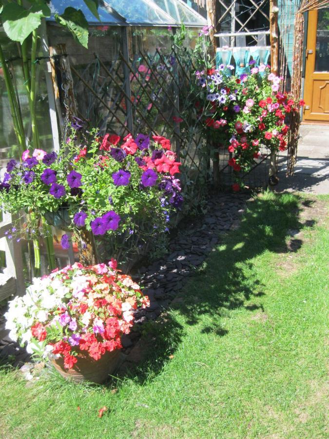 Perfect For Petersfield B&B Екстер'єр фото