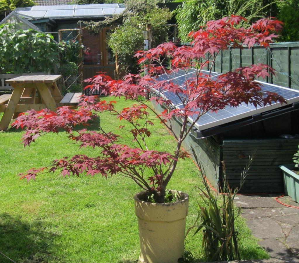 Perfect For Petersfield B&B Екстер'єр фото